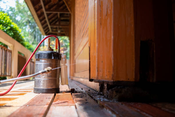 Best Termite Control Services  in Bethany, WV