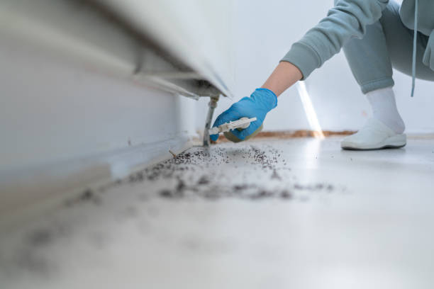 Best Emergency Pest Control  in Bethany, WV